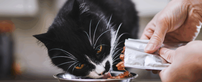 Home Usage Test reveals pet preference in cat food study